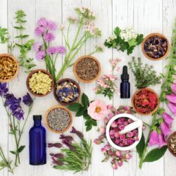 10 Best Essential Oils For Aromatherapy