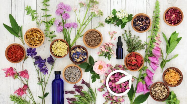 10 Best Essential Oils For Aromatherapy